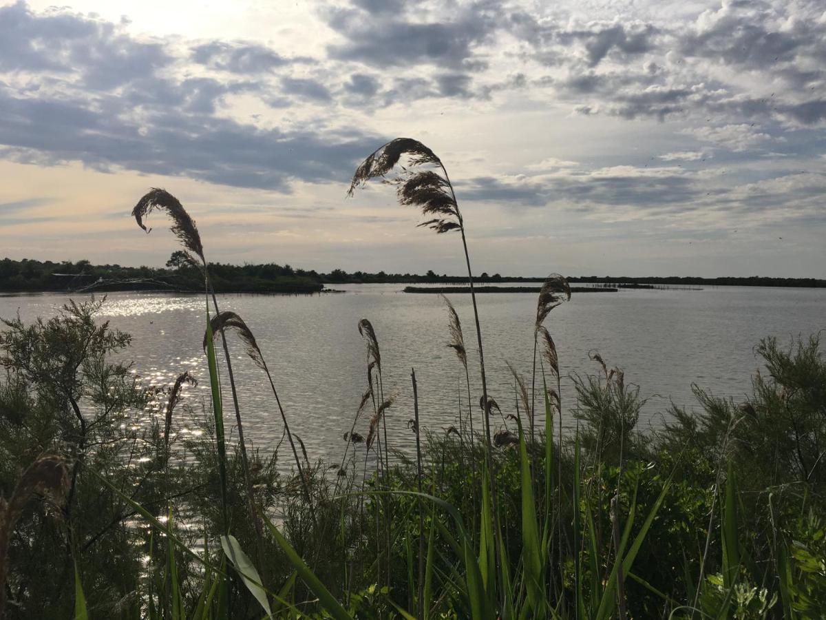 Bed and Breakfast Le Teich Tranquille Экстерьер фото